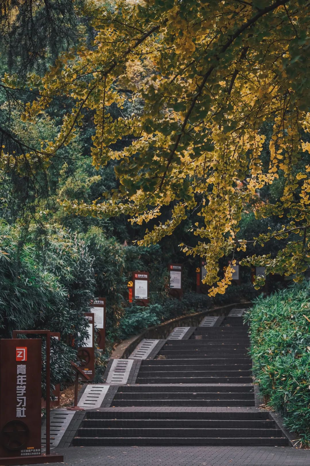 BEN_5488.jpg 图片