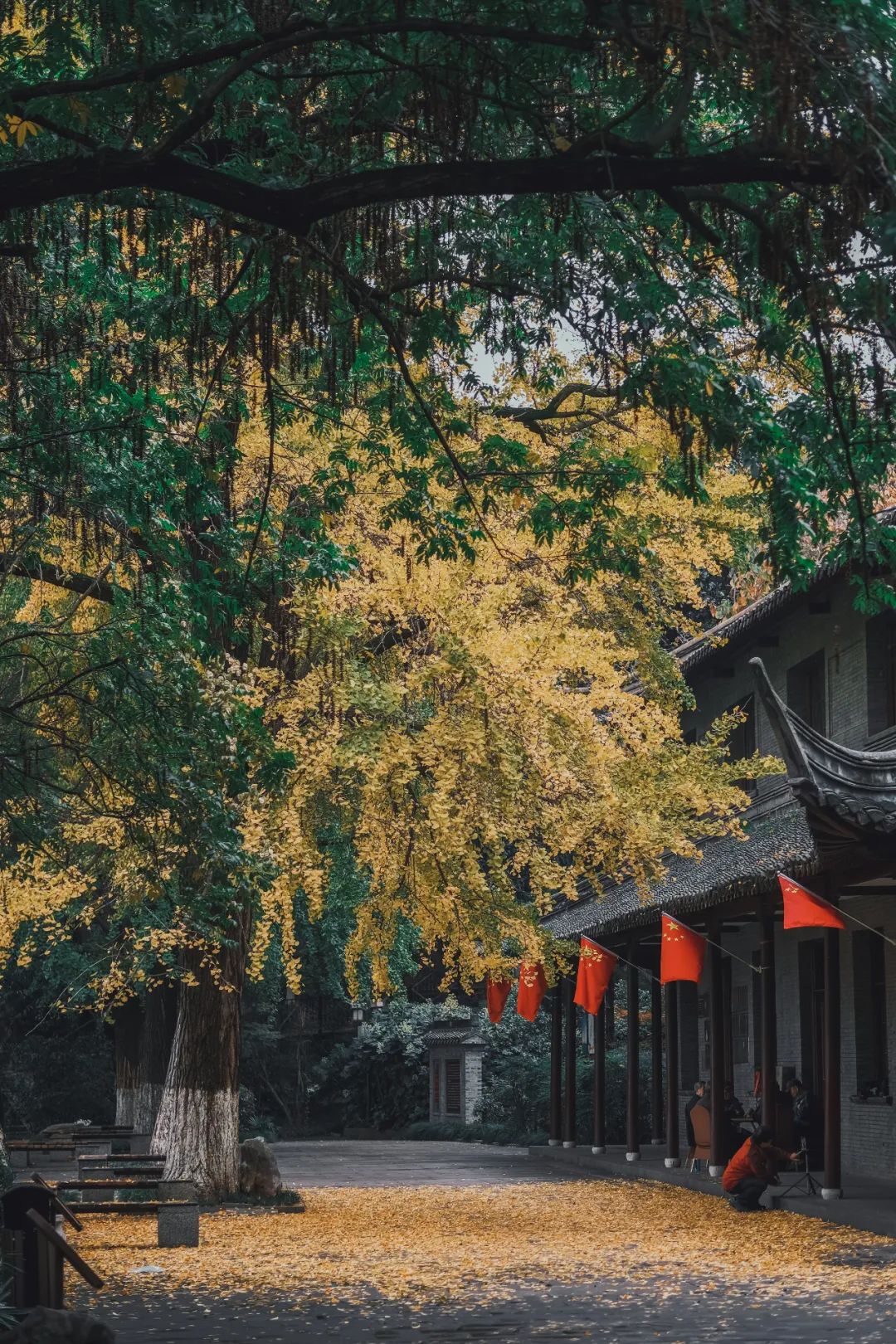 BEN_5056.jpg 图片