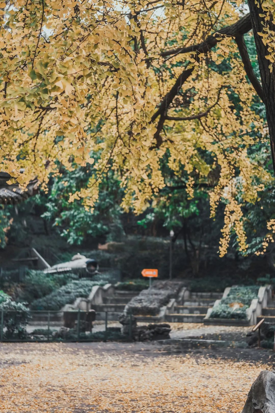 BEN_5387.jpg 图片