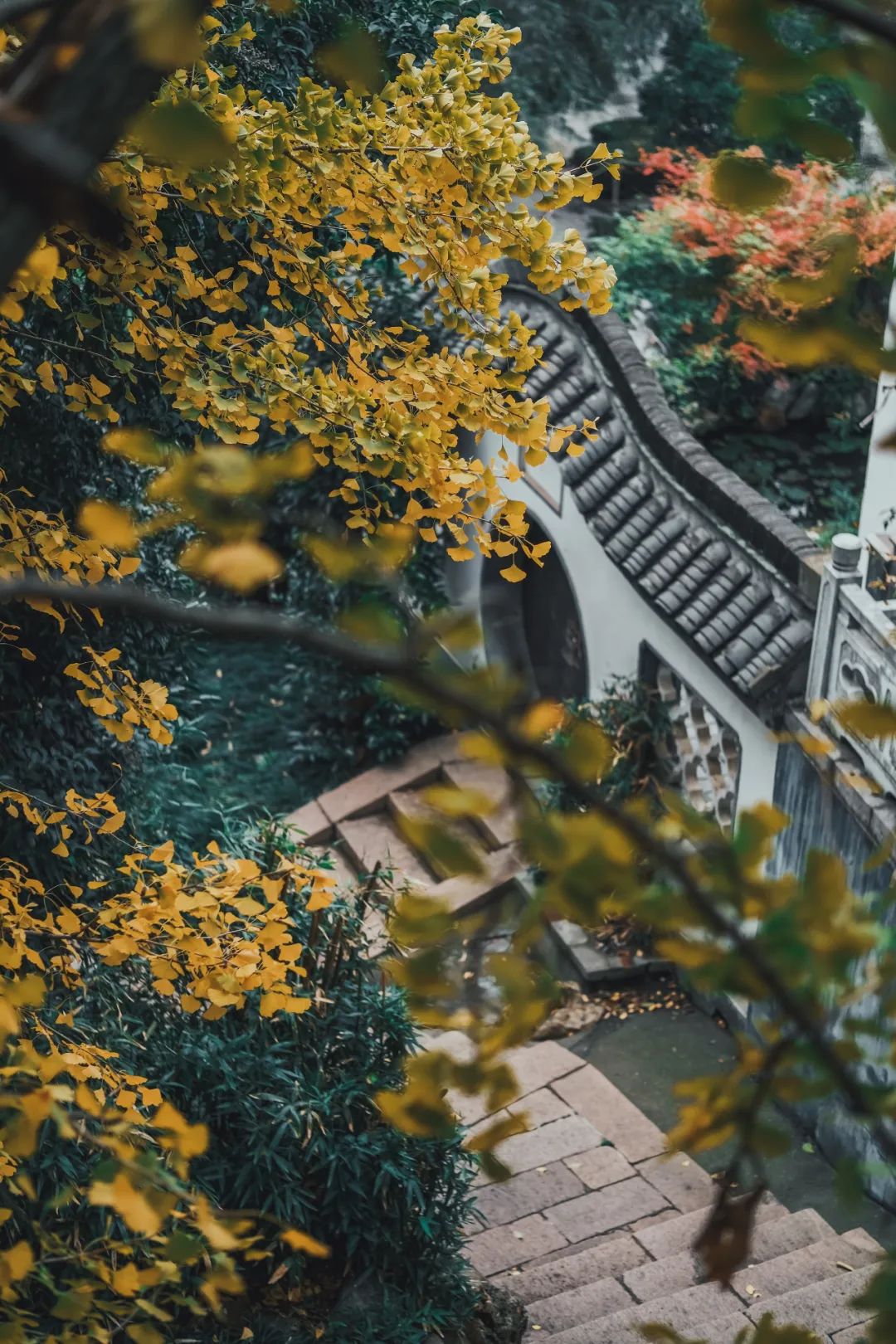 BEN_5348.jpg 图片