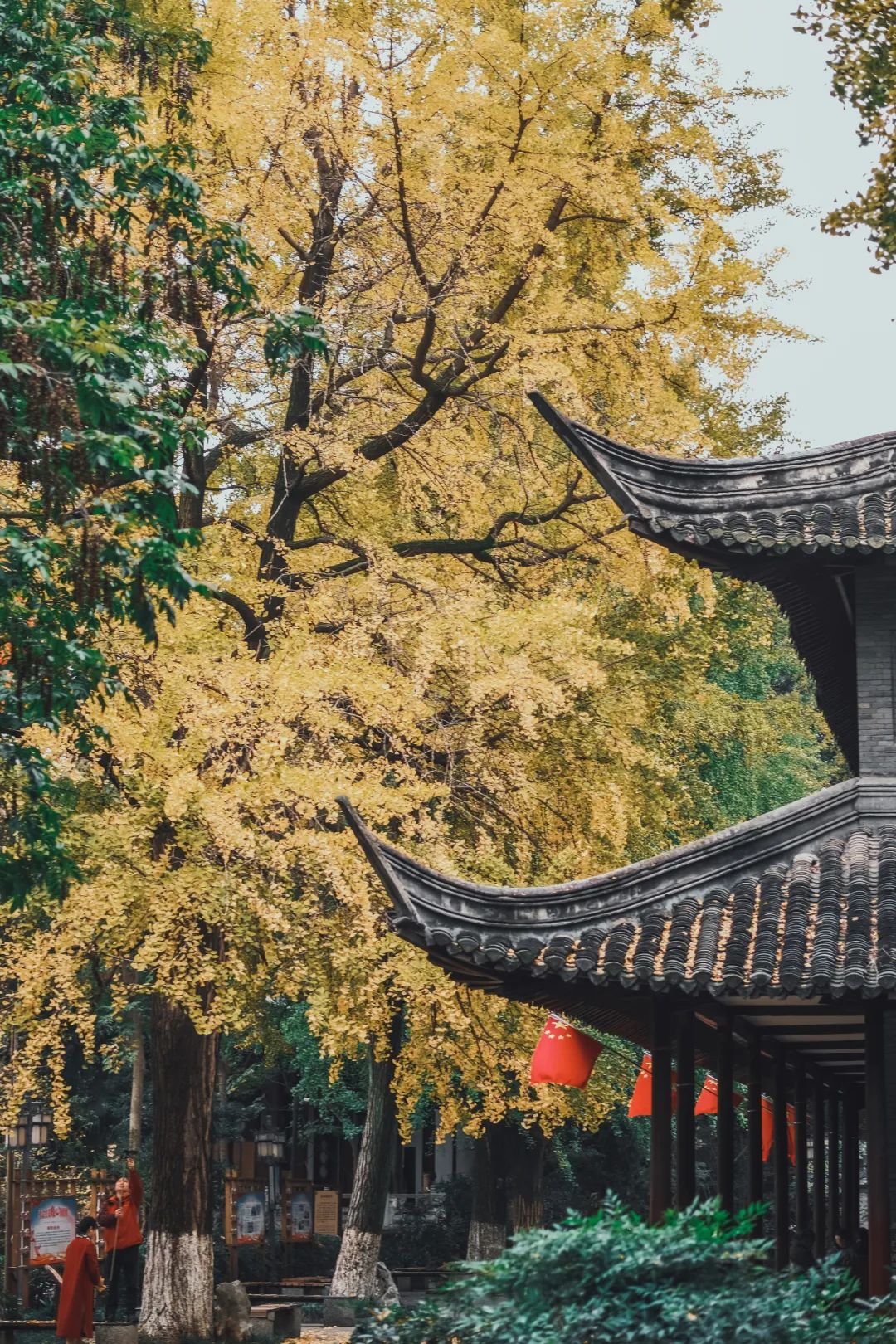BEN_5370.jpg 图片