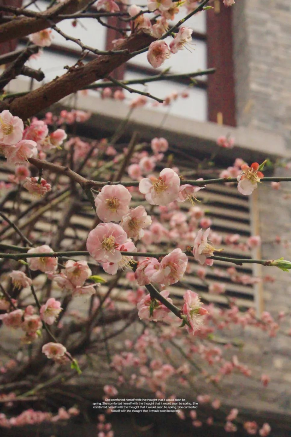 微信图片_20230309214133.jpg 图片