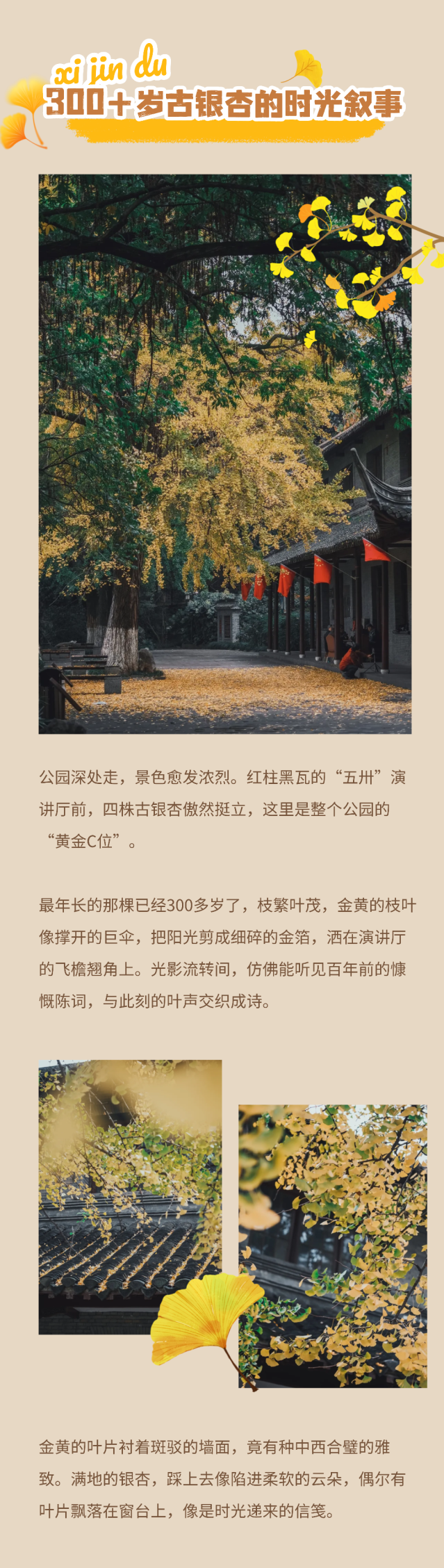 京城捡秋指南2 (3).png