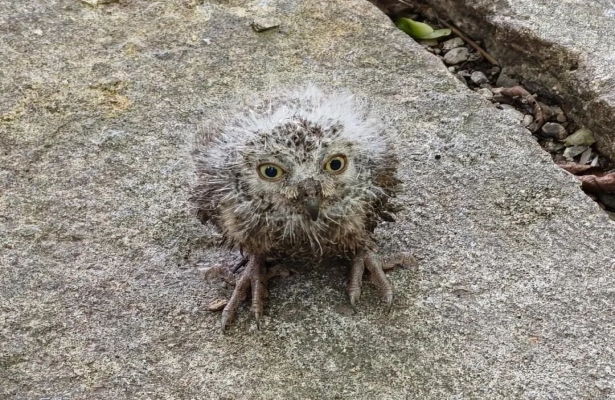 Third slide